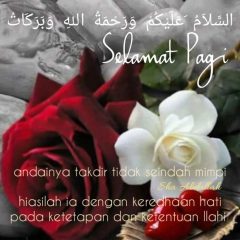 Kurangkan yang boleh.